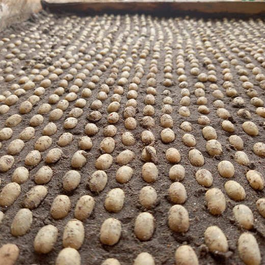 imagen de nuestro café